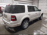 Ford Explorer Xlt 1FMEU73E18UB29004 fotografie