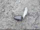 Toyota Camry Se 4T1BF1FK6FU044152 снимка