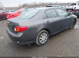 Toyota Corolla Le JTDBU4EEXAJ078516 fotografie