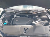 Honda Odyssey Ex-L 5FNRL6H68TB029200 fotografie