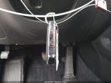 Miniaturka zdjęcia 11