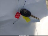 Miniaturka zdjęcia 11
