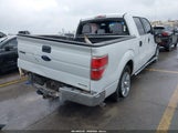 Ford F-150 Xl 1FTFW1EF0EKF80227 снимка