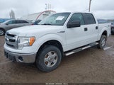 Ford F-150 Xlt 1FTFW1EFXDFC14847 снимка
