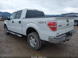 Ford F-150 Xlt 1FTFW1EFXDFC14847 снимка
