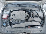 Miniaturka zdjęcia 10