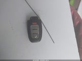 Miniaturka zdjęcia 11