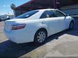 Toyota Camry Hybrid 4T1BB46K08U056717 fotografie