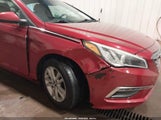 Hyundai Sonata Se 5NPE24AF4FH183621 снимка