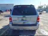 Ford Escape Xlt 1FMCU9D71AKC87038 снимка