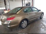 Honda Accord 2.4 Ex-L 1HGCP2F85AA095735 снимка