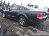 Ford Mustang V6 Deluxe/V6 Premium 1ZVFT80N775277394 photo