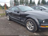 Ford Mustang V6 Deluxe/V6 Premium 1ZVFT80N775277394 fotografie