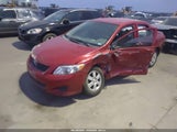 Toyota Corolla Le 2T1BU4EEXAC524515 photo