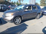 Honda Cr-V Ex-L 5J6RE4H73AL081345 photo