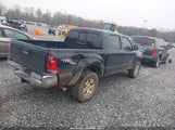 Toyota Tacoma Base V6 3TMLU42NX8M016278 снимка