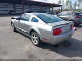 Ford Mustang V6 Deluxe/V6 Premium 1ZVHT80N485145607 photo