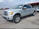 Ford F-150 Fx4/King Ranch/Lariat/Platinum/Xl/Xlt 1FTPW14V99FA58689 photo