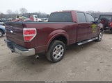 Ford F-150 Fx4/King Ranch/Lariat/Platinum/Xl/Xlt 1FTPW14VX9FA78174 снимка