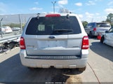 Ford Escape Xlt 1FMCU93178KB45199 снимка