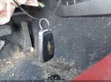 Miniaturka zdjęcia 11