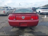 Ford Mustang V6/V6 Premium 1ZVHT80N095139871 photo