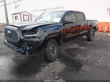 Toyota Tacoma Trd Off-Road 3TMDZ5BN3MM104532 снимка