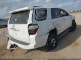 Toyota 4Runner Sr5 JTEBU5JR4L5781146 снимка