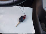 Miniaturka zdjęcia 11