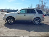 Ford Escape Limited 1FMCU9E78AKD32104 снимка