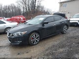 Nissan Maxima 3.5 Platinum/3.5 S/3.5 Sl/3.5 Sr/3.5 Sv 1N4AA6AP4GC423078 fotografie
