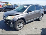 Honda Cr-V Ex 5J6RE3H52AL001123 снимка
