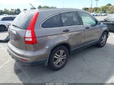 Honda Cr-V Ex 5J6RE3H52AL001123 снимка