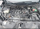 Honda Civic Ex-L 19XFC1F75HE005130 снимка