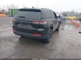 Miniaturka zdjęcia 4