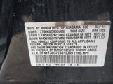 Miniaturka zdjęcia 9