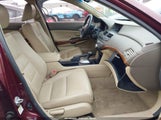 Honda Accord 2.4 Ex-L 1HGCP2F80AA153542 photo