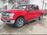 Ford F-150 Xlt 1FTEW1E43KKE99924 photo