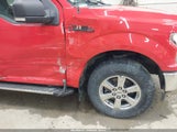 Ford F-150 Xlt 1FTEW1E43KKE99924 fotografie