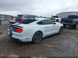 Ford Mustang Ecoboost Fastback 1FA6P8TH5N5138669 снимка
