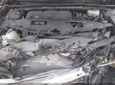 Toyota Camry Hybrid Le 4T1B31HK3JU504446 fotografie