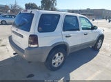 Ford Escape Xlt 1FMYU04191KF32522 снимка