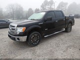 Ford F-150 Xlt 1FTFW1CT8DKE43849 снимка