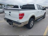 Ford F-150 Fx2 Sport/Harley-Davidson/King Ranch/Lariat/Platinum/Xl/Xlt 1FTFW1CV6AFC84576 снимка