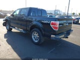 Ford F-150 Fx4/Harley-Davidson/King Ranch/Lariat/Platinum/Xl/Xlt 1FTFW1EV8AKA75294 снимка