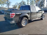 Ford F-150 Fx4/Harley-Davidson/King Ranch/Lariat/Platinum/Xl/Xlt 1FTFW1EV8AKA75294 fotografie