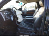 Ford F-150 Fx4/Harley-Davidson/King Ranch/Lariat/Platinum/Xl/Xlt 1FTFW1EV8AKA75294 fotografie