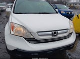 Honda Cr-V Ex-L 5J6RE48769L056726 photo
