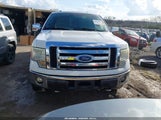Ford F-150 Fx4/Lariat/Xl/Xlt 1FTPX14V59FB11336 fotografie
