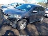 Honda Cr-V Ex 5J6RM3H57DL043620 снимка